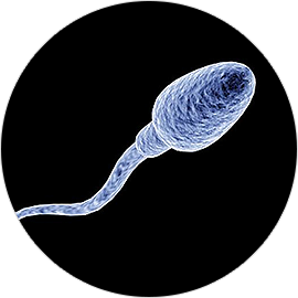 Cum Plus Strong - Sperma Nasienie
