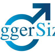biggersizelogo.png