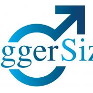 biggersizelogo.jpg